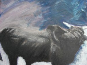 Brama bull with stormy sky